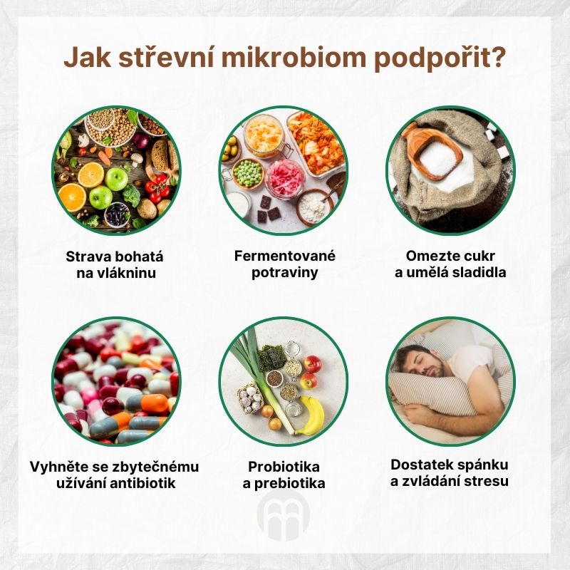 Jak střevní mikrobiom podpořit (1)